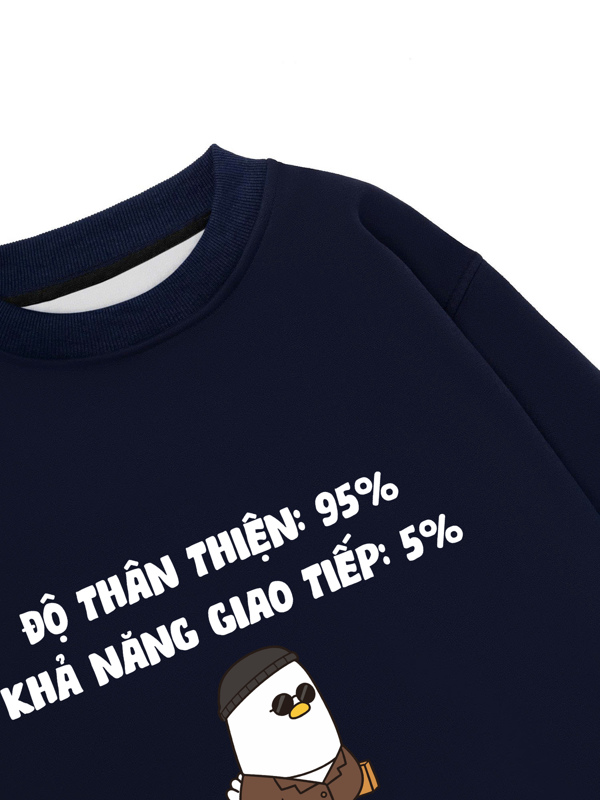 Áo Sweater Nỉ Hai Da Độ Thân Thiện 95%