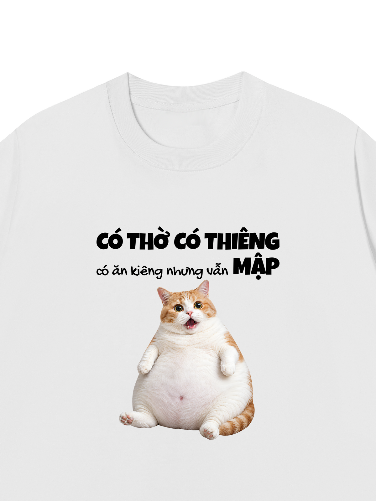 Áo Thun Relaxed Fit Có Ăn Kiêng Nhưng Vẫn Mập