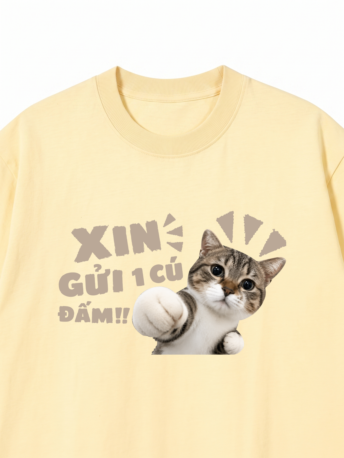 Áo Thun Relaxed Fit Xin Gửi Một Cú Đấm