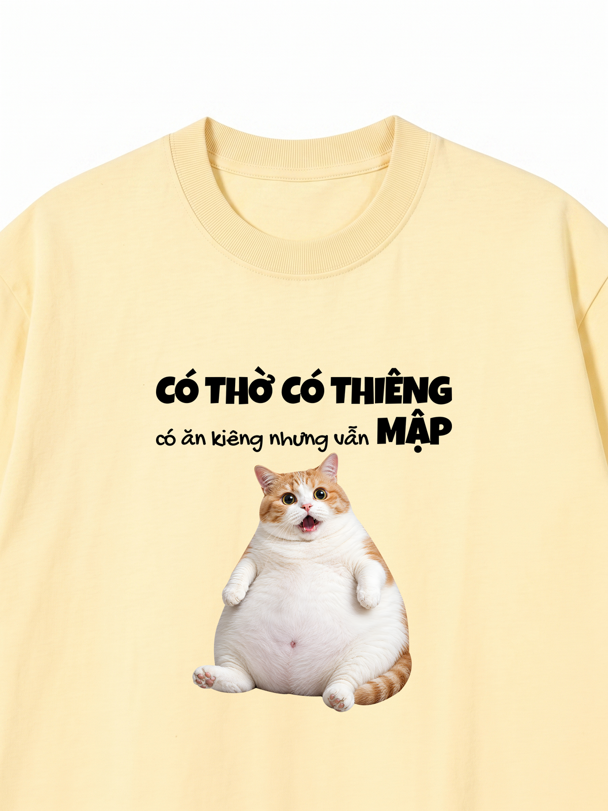 Áo Thun Relaxed Fit Có Ăn Kiêng Nhưng Vẫn Mập
