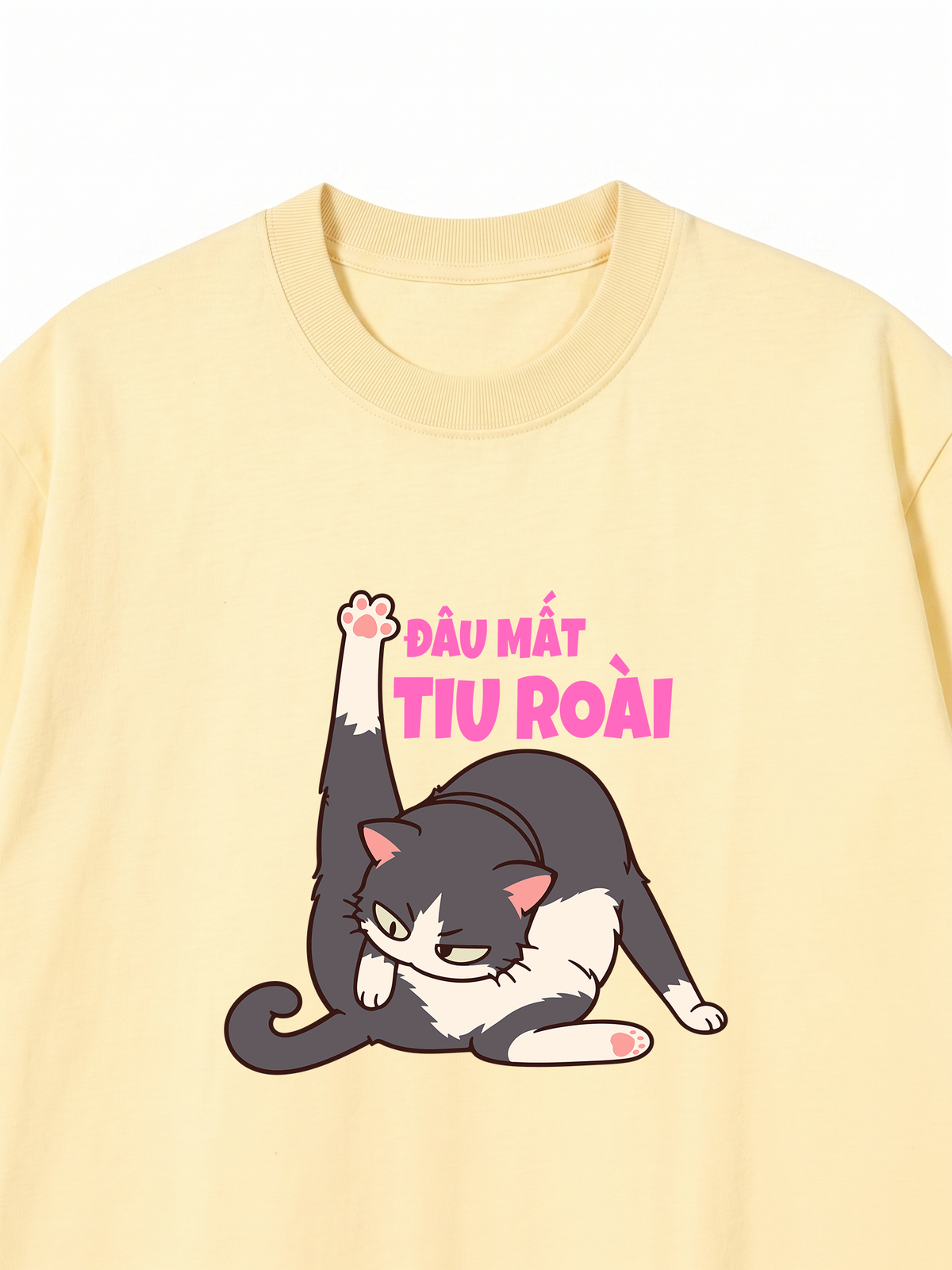 Áo Thun Relaxed Fit Đâu Mất Tiu Roài
