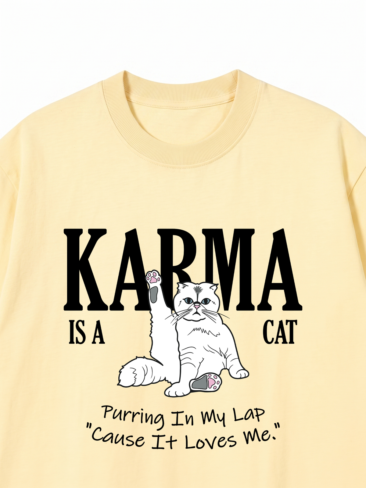 Áo Thun Relaxed Fit Karma Is A Cat